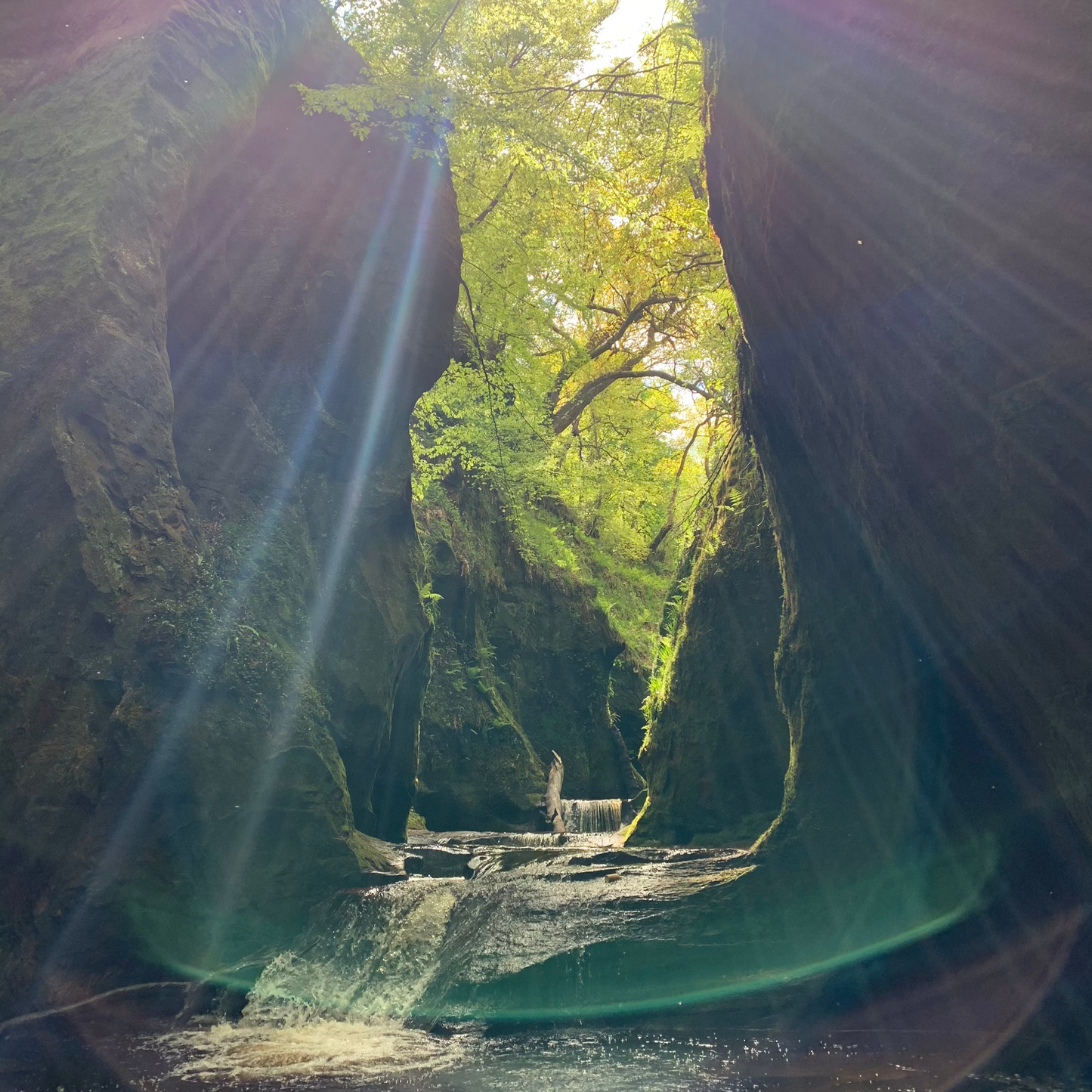 MyMap - Glasgow & the West